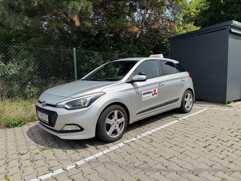 Sivá huynda v tréningovom priestore autoškoly